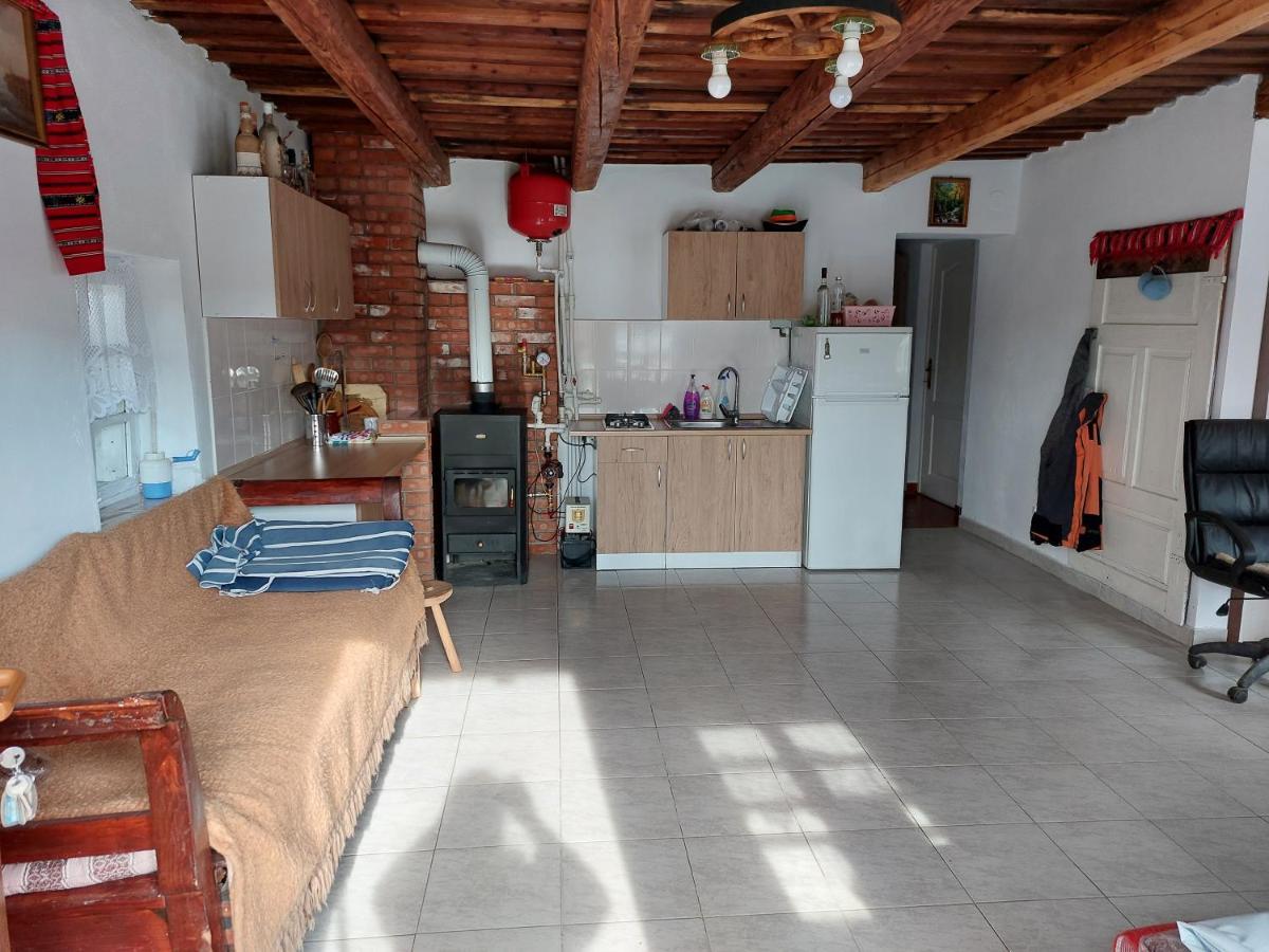 Cabana Casa Lu'Baciu Arpaşu de Sus Exterior foto